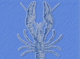 cover_buku_lobster_website