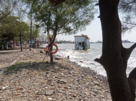 konservasi_pesisir_batang