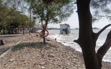 konservasi_pesisir_batang