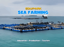 Desain tanpa judul (4)