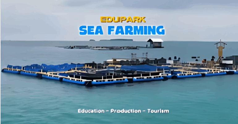 Desain tanpa judul (4)