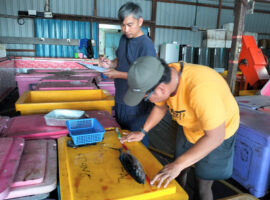 2d2968ec-cbc5-4f90-b1c0-22bf40b30e1c