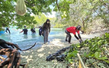 Pelatihan Penanaman Mangrove Gili Balu1