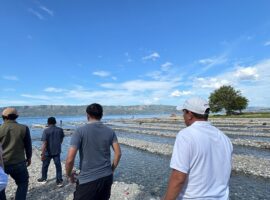 WhatsApp Image 2025-07-21 at 14.51.06_5a433501