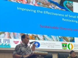 WhatsApp Image 2025-12-30 at 11.59.57