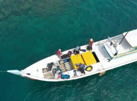 Coral Reef Bangka Belitung 1