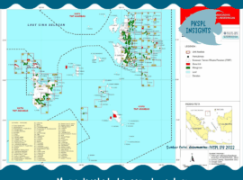 Mangrove di kepulauan anambas