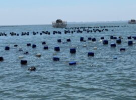 Mikroplastik 3 Provinsi 1