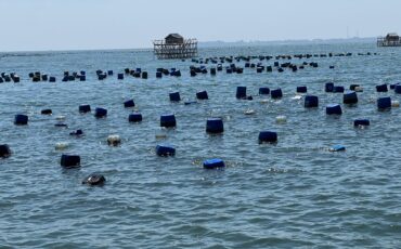 Mikroplastik 3 Provinsi 1