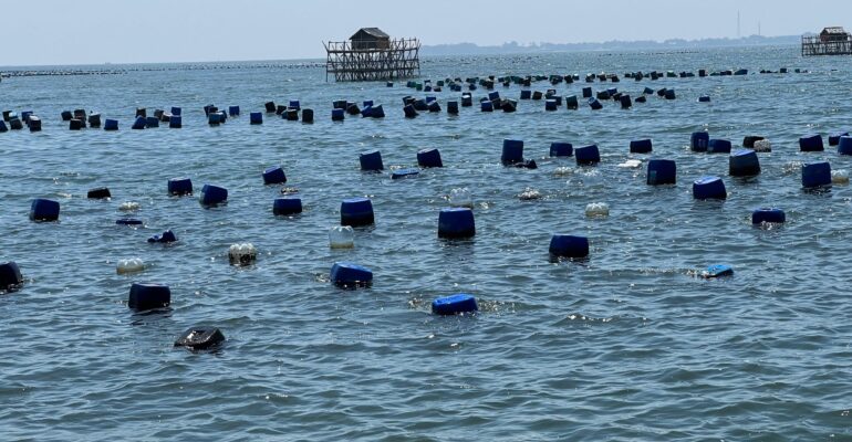 Mikroplastik 3 Provinsi 1