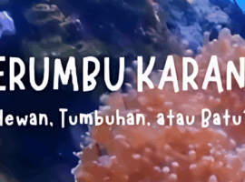 thumbnail sosmed pkspl (1)