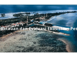 thumbnail sosmed pkspl